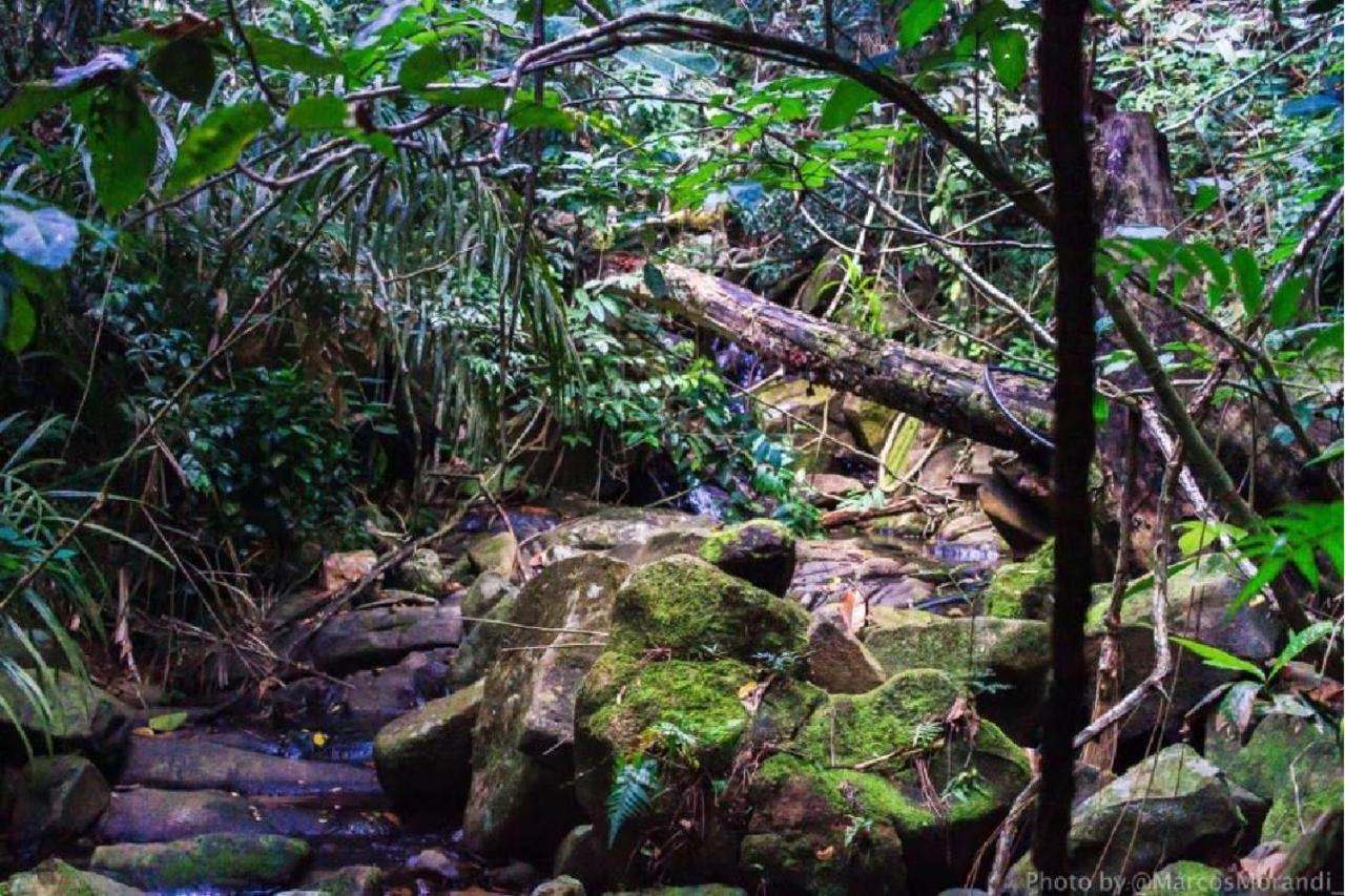 Remo Hostel パラチ エクステリア 写真
